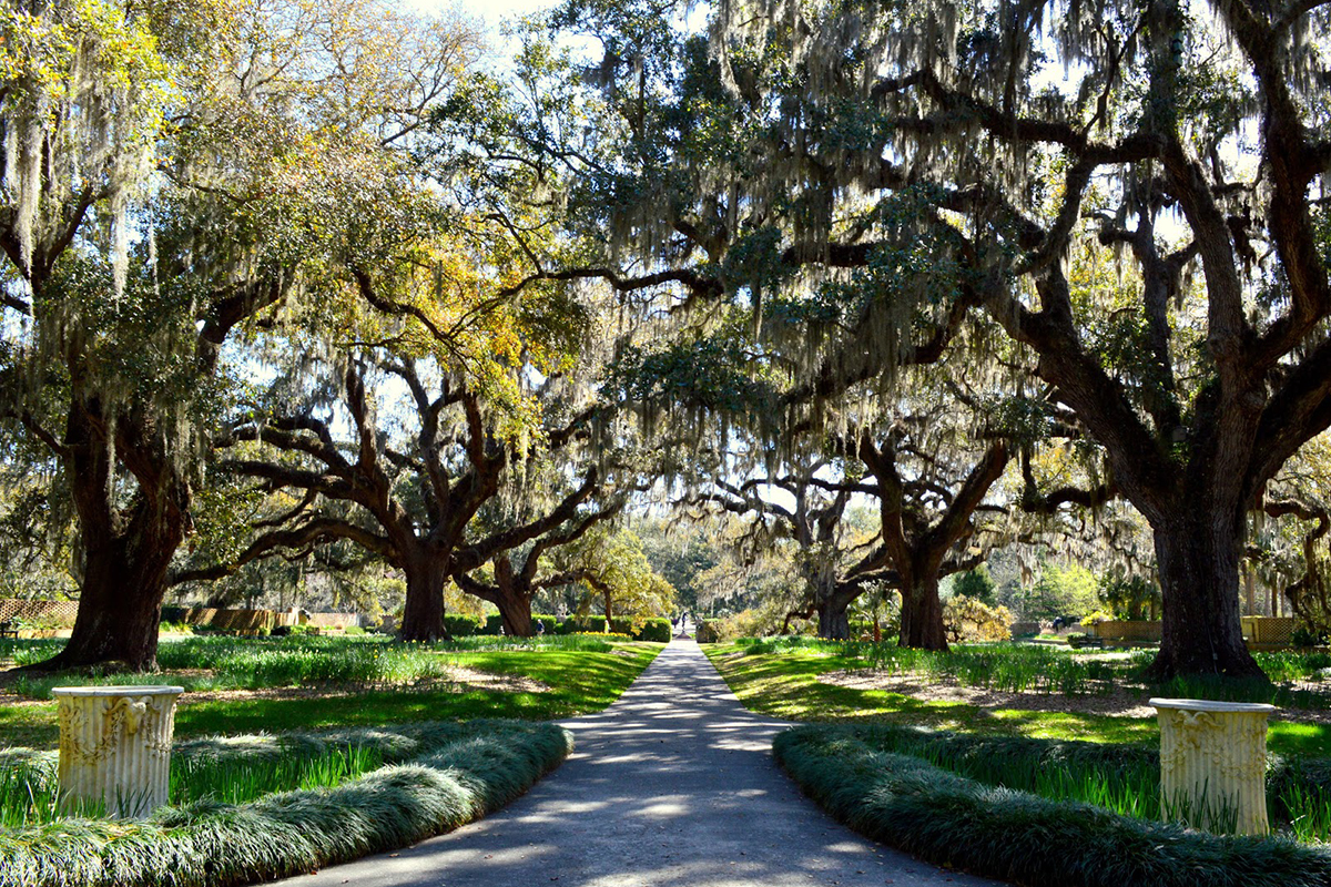 Brookgreen Gardens Ocean Reef Myrtle