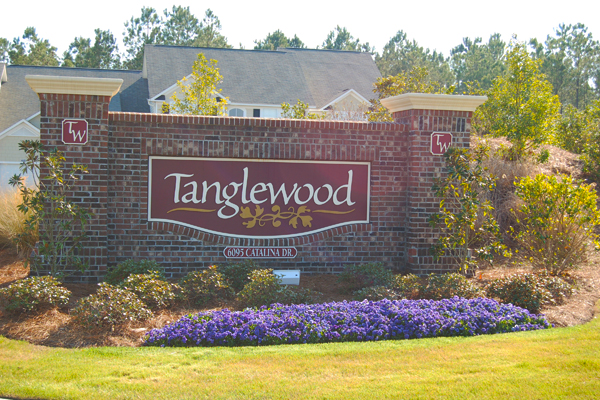 Tanglewood 1 2 