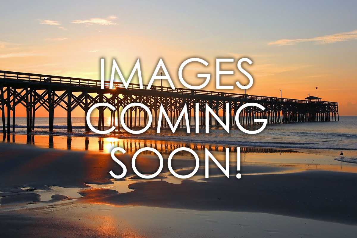 https://www.brittainhotelmanagement.com/wp-content/uploads/2023/10/pawleys-pier-village-images-coming-soon.jpg